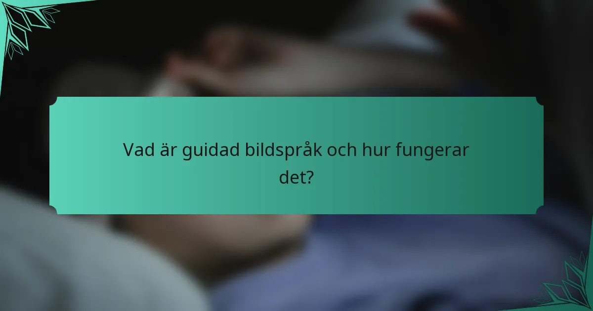 Vad är guidad bildspråk och hur fungerar det?